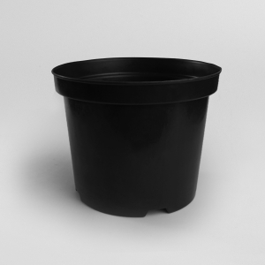 Seedling container (100 pieces)