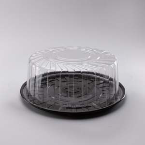 Container for a cake (25 pieces)