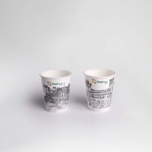 Paper cup (2700 pieces)