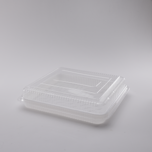 Container for a cake (50 pieces)