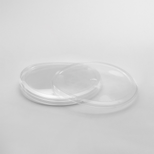 Transparent lid for a container (30 pieces)