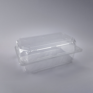 Double - side container (with holes) (50 pieces)