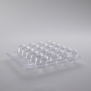 Double - side egg box (100 pieces)