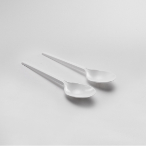 Spoon (500 pieces)
