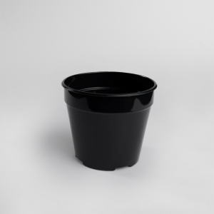 Seedling container (80 pieces)