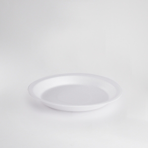 Foam plate (300 pieces)