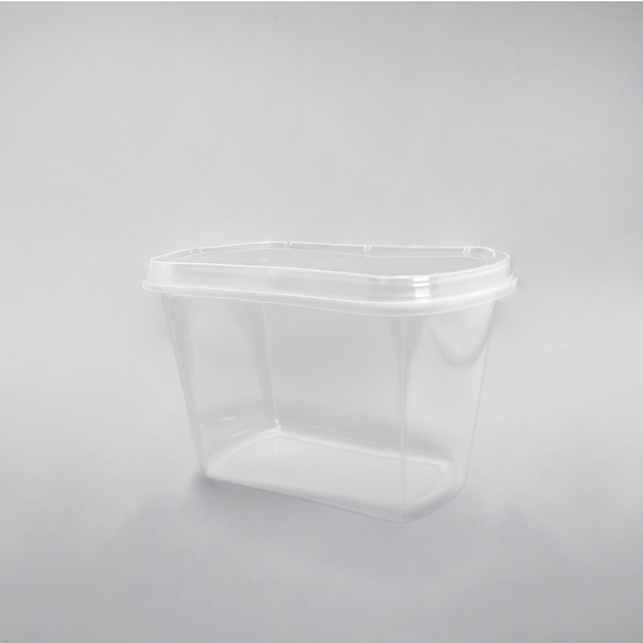 Контейнер (100 штук)