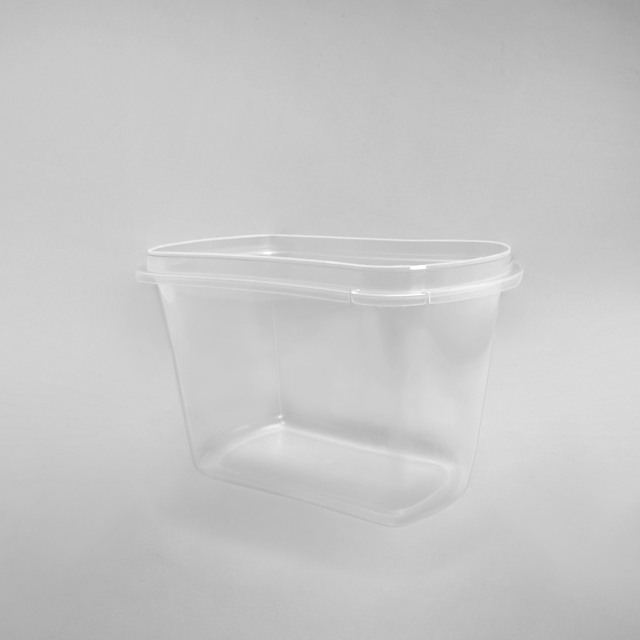 Контейнер (100 штук)