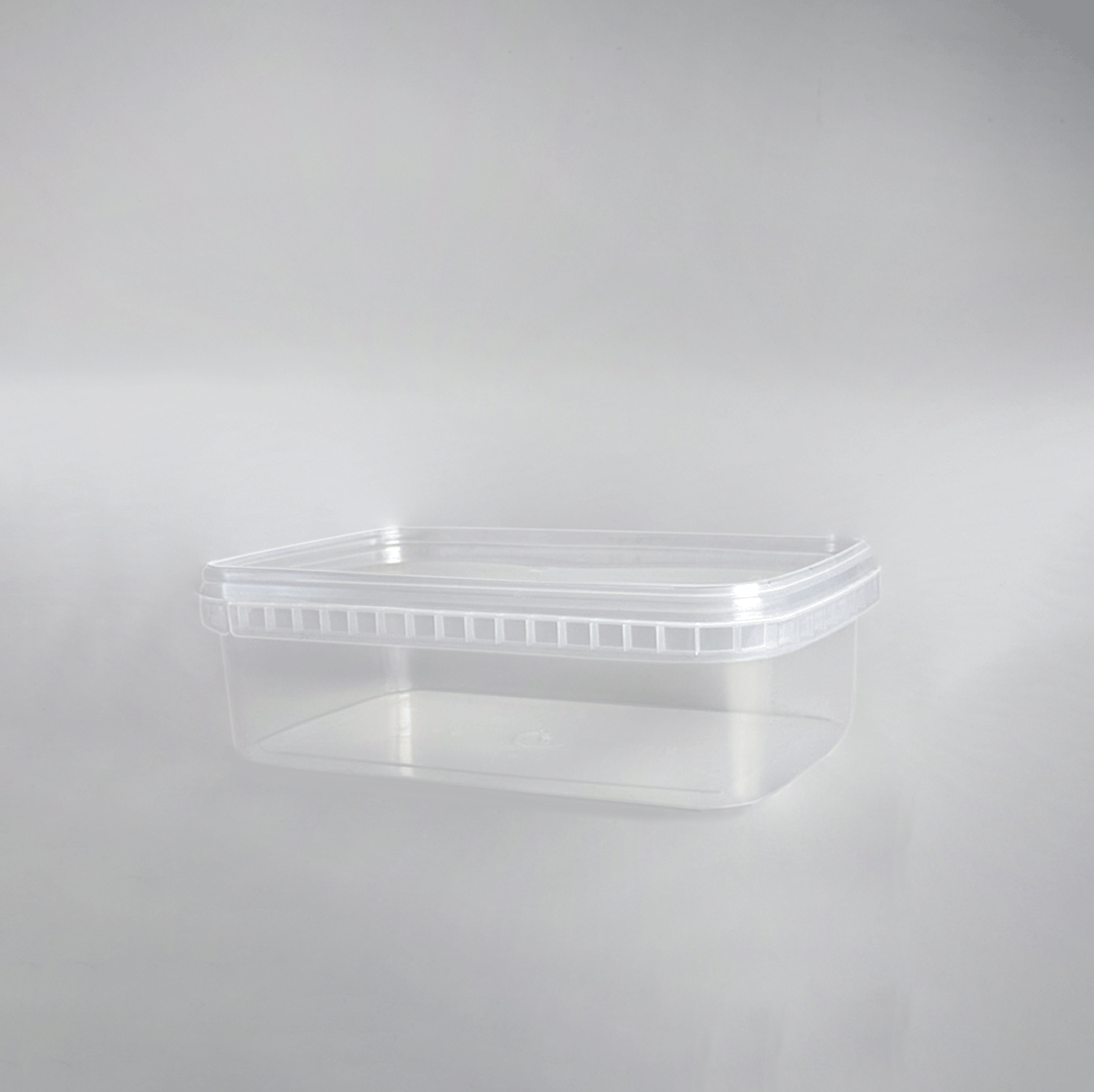 Контейнер (100 штук)