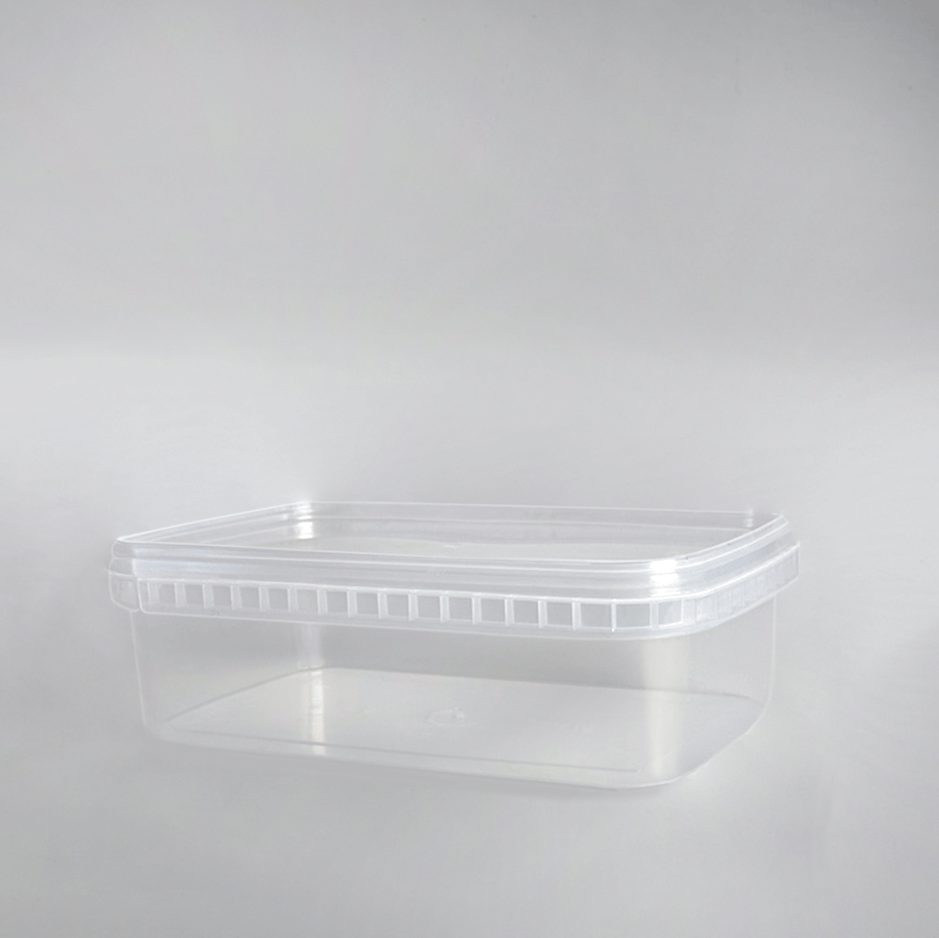 Контейнер (100 штук)