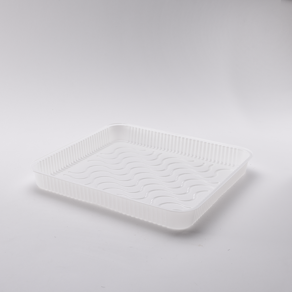 Container for a cake (50 pieces)